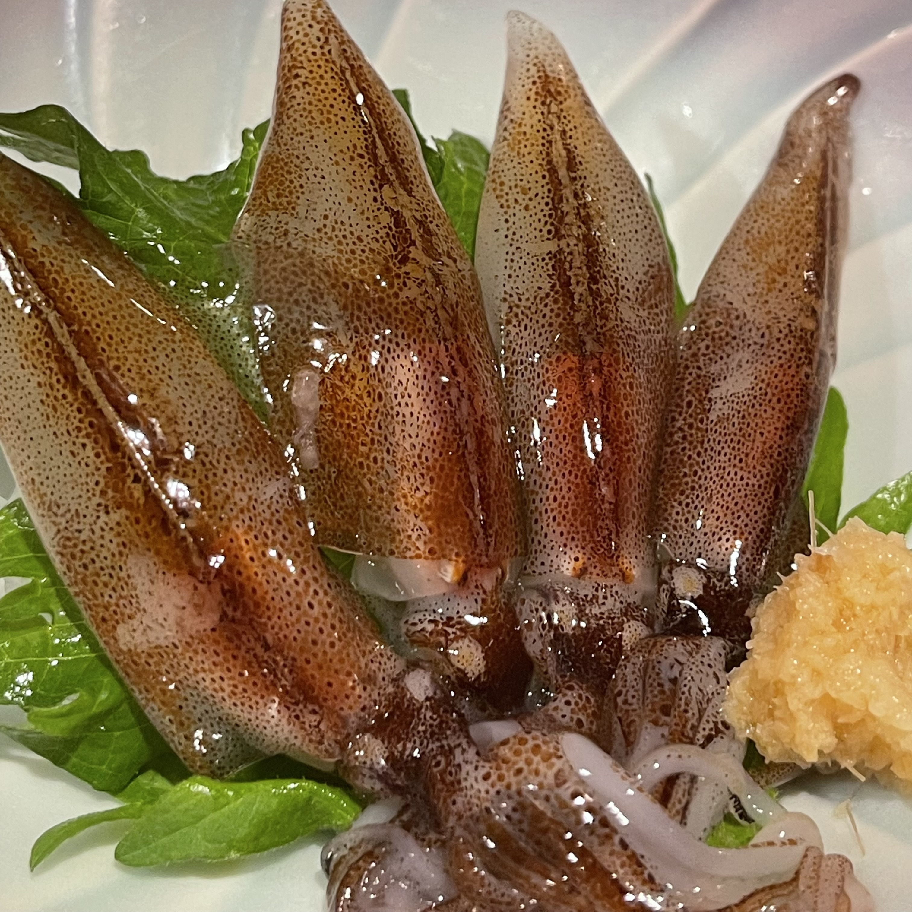 生ホタルイカ